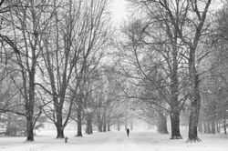 Fine Art 1-13-18-7