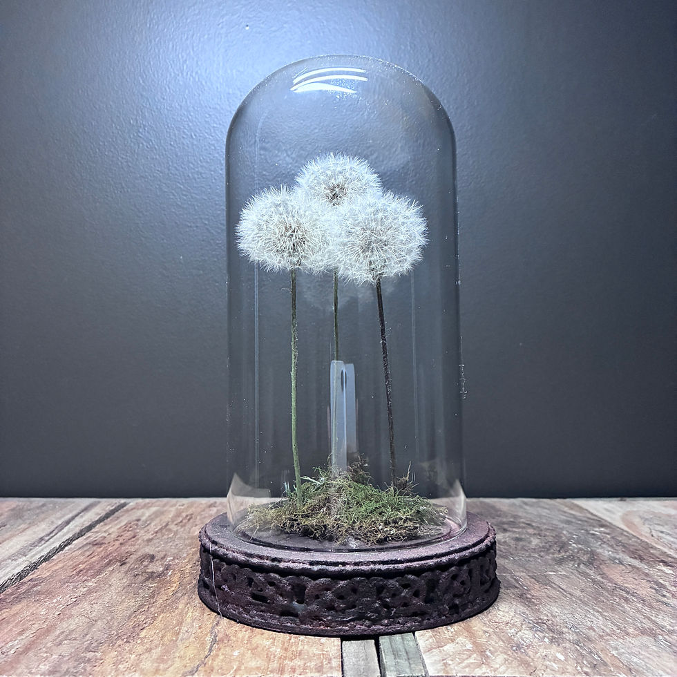 Thumbnail: Family of Wishes