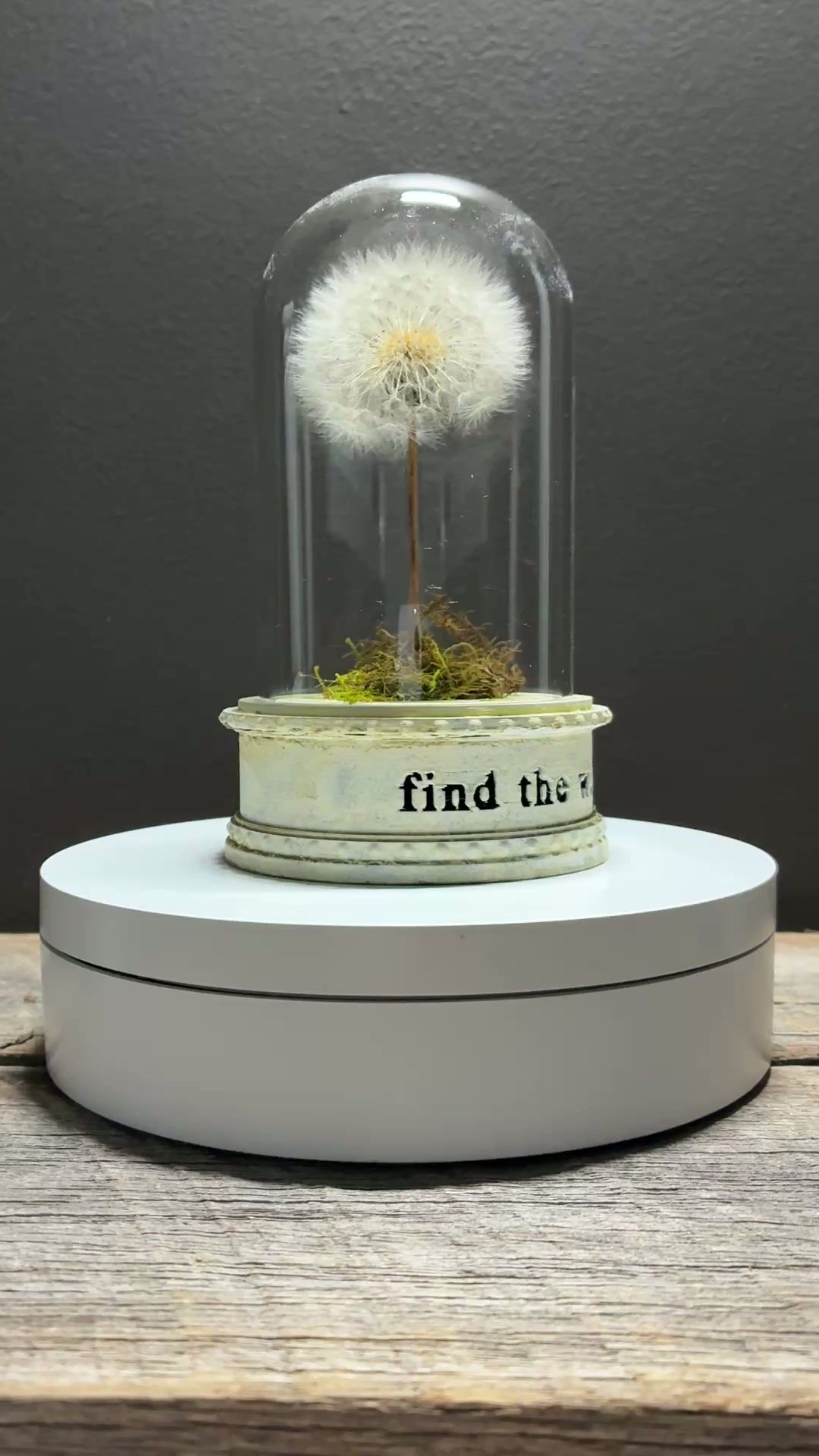 find the wonder