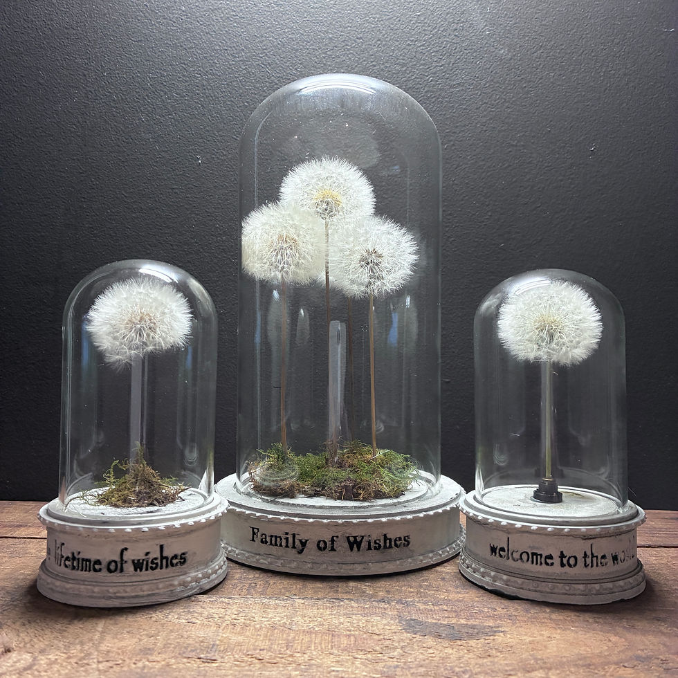 Thumbnail: welcome to the world wholesale