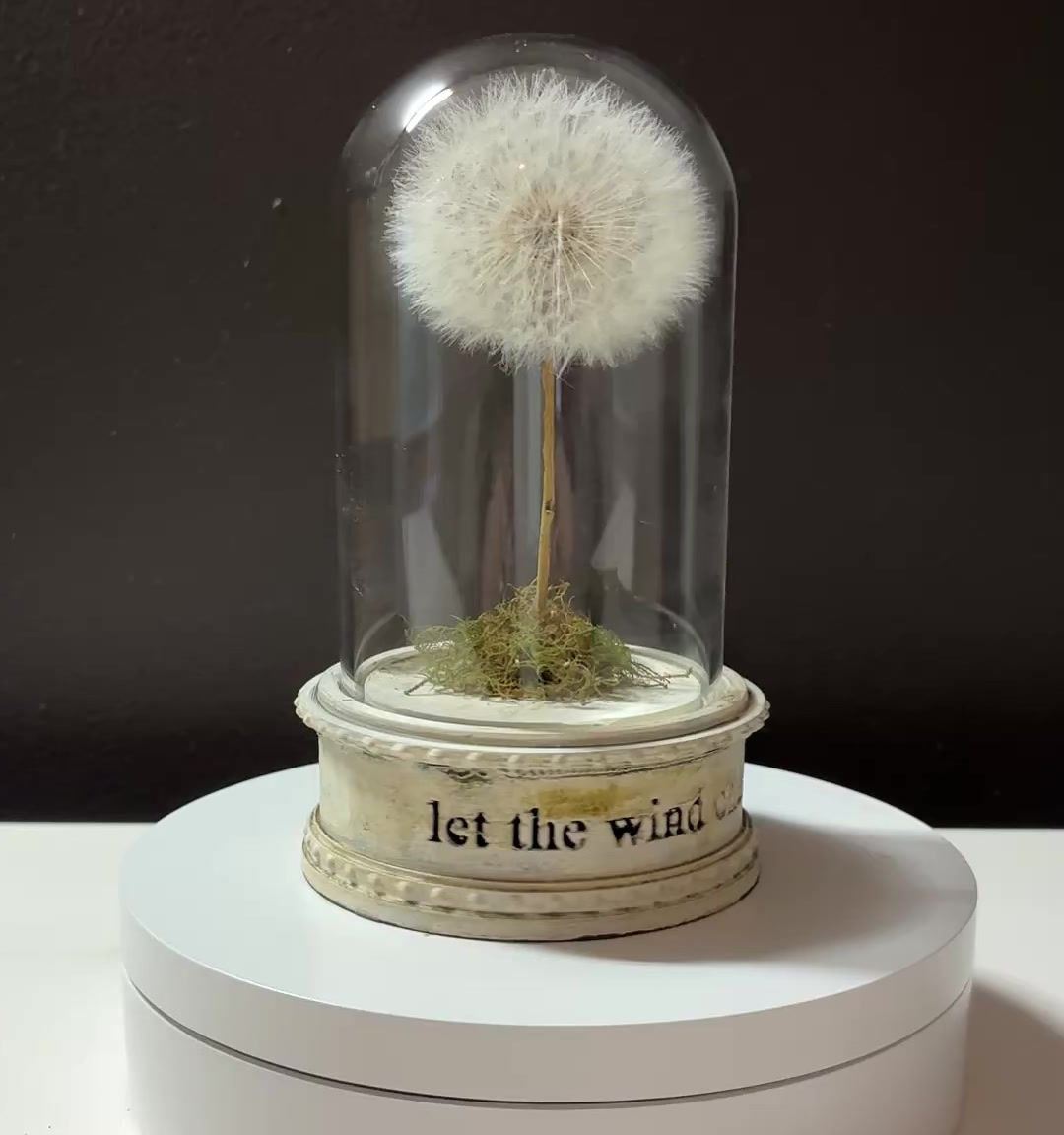 let the wind chase you wholesale