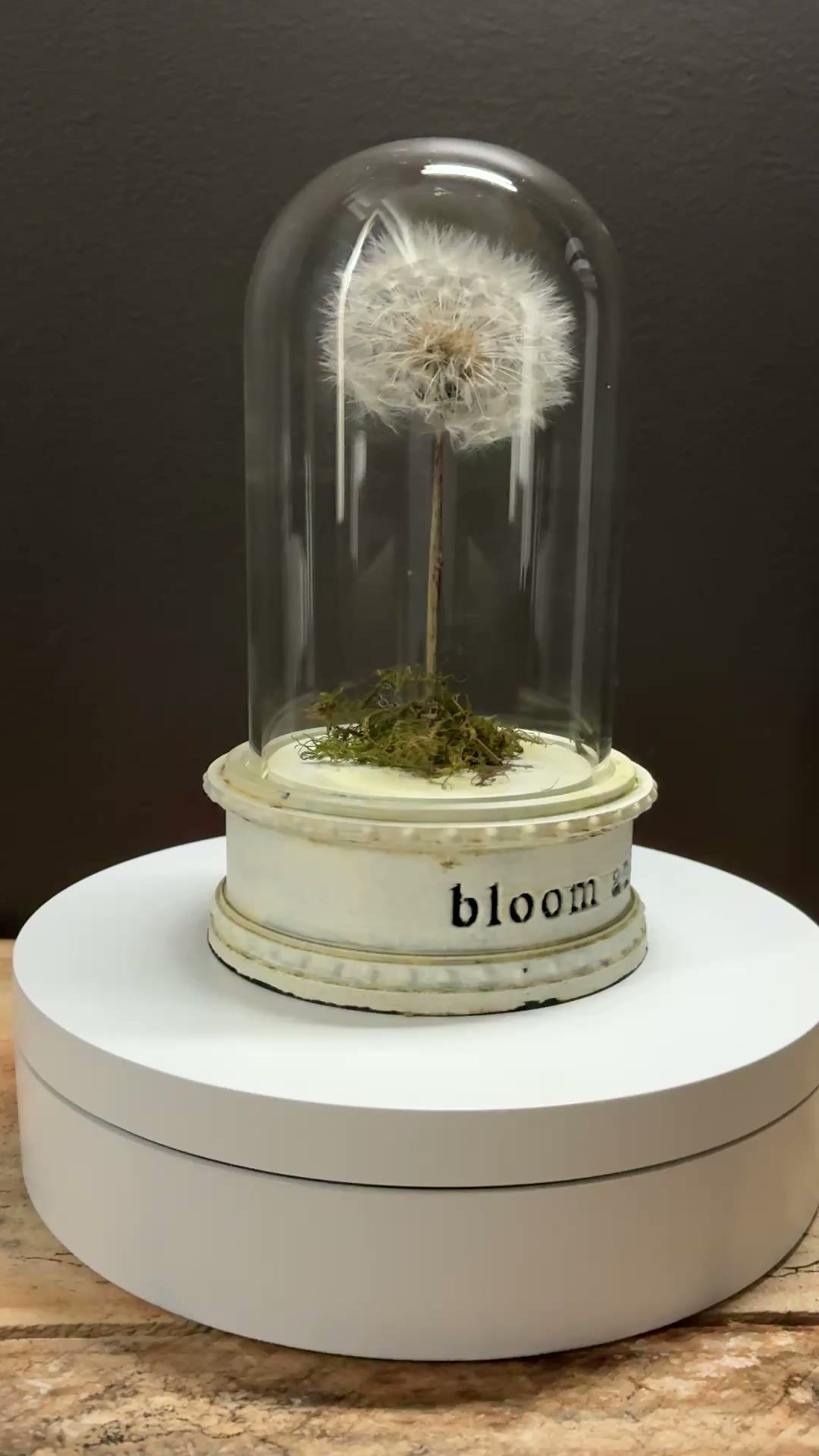 bloom anyway
