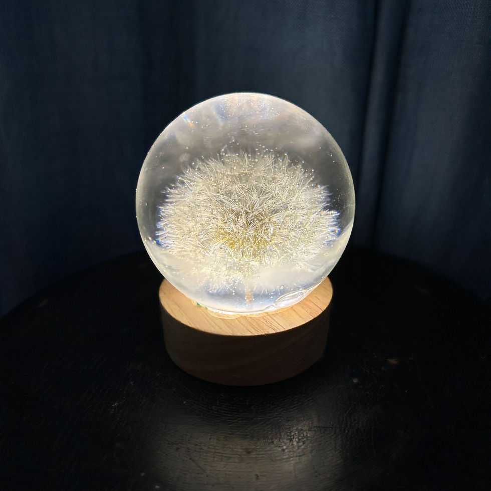 Thumbnail: Dandelion Mood/Night Lights wholesale