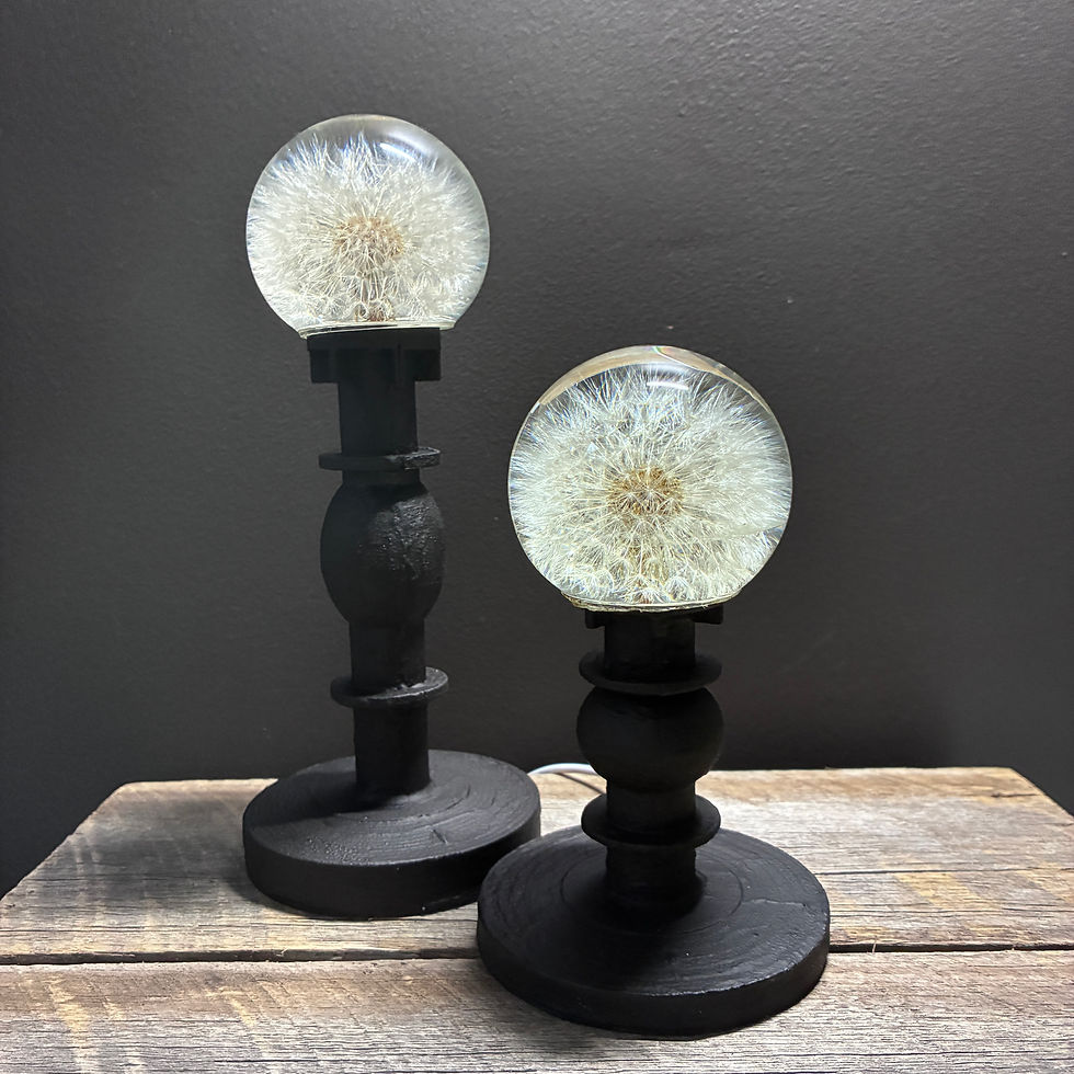 Thumbnail: Dandelion Candle Light, wholesale