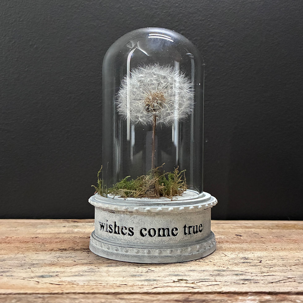 Thumbnail: Wedding Bonbonniere Wishing Jars