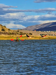 Flamencos volando - Calafate Kayaks.jpeg