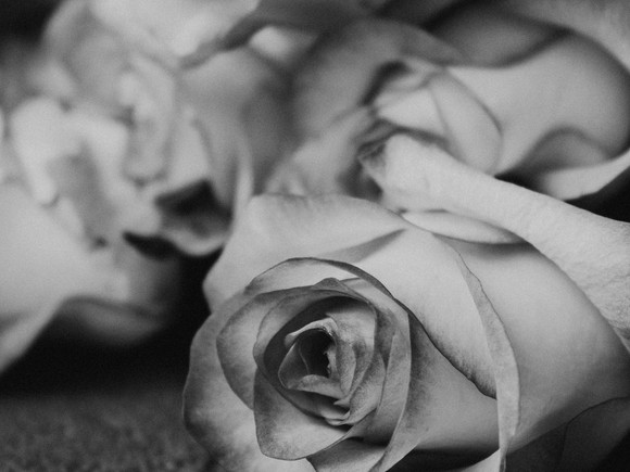 pexels-liana-horodetska-7524970.jpeg