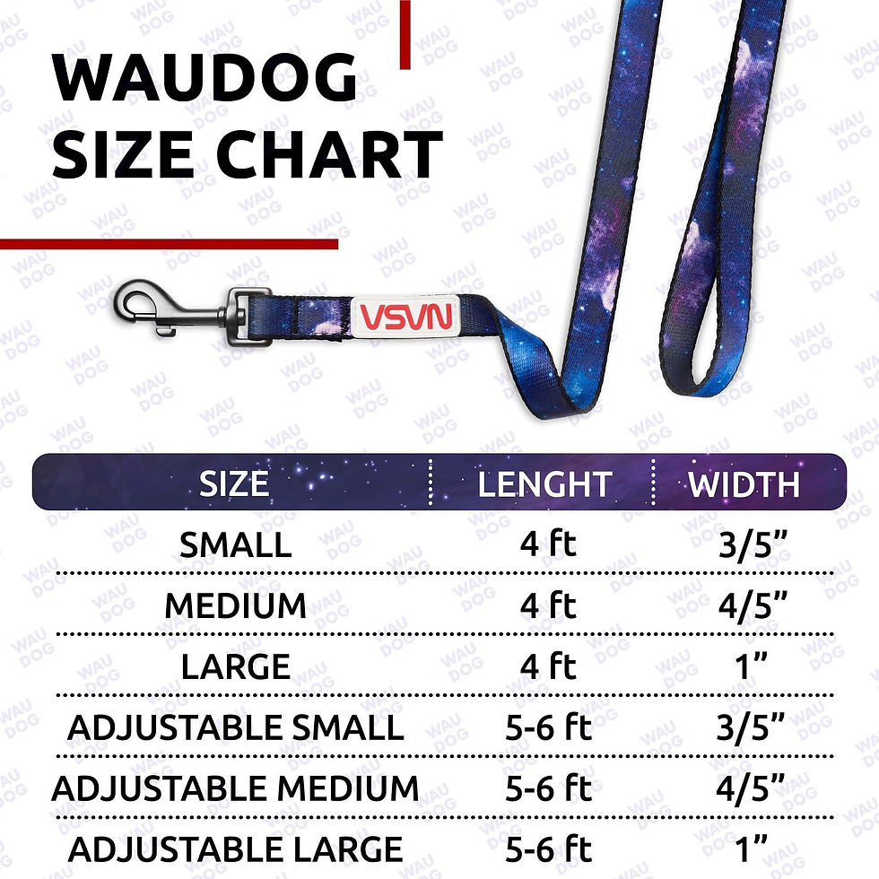 Thumbnail: Nylon Dog Leash for Medium and Large Dogs 4 Ft x 1 Wide NASA Design Heavy Duty