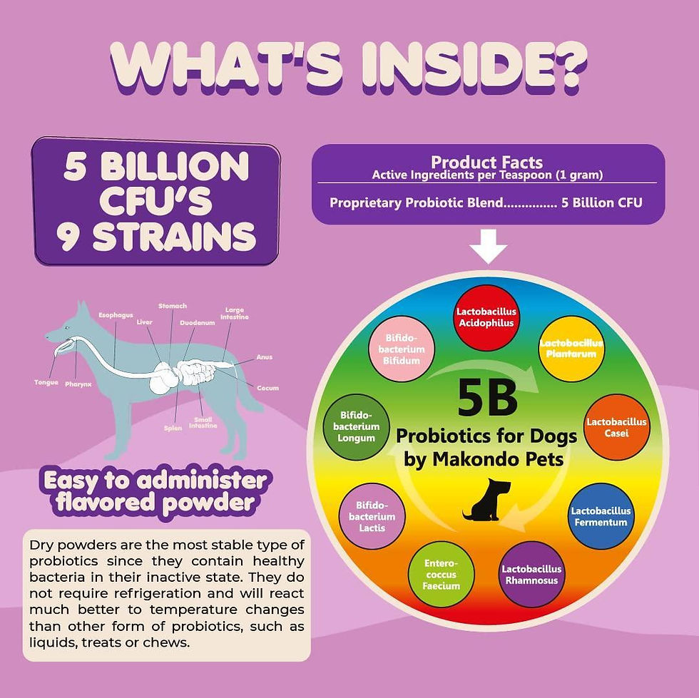 Thumbnail: Probiotics for Dogs Puppies Extra Strength 9 Species 5 Billion CFU per Scoop of