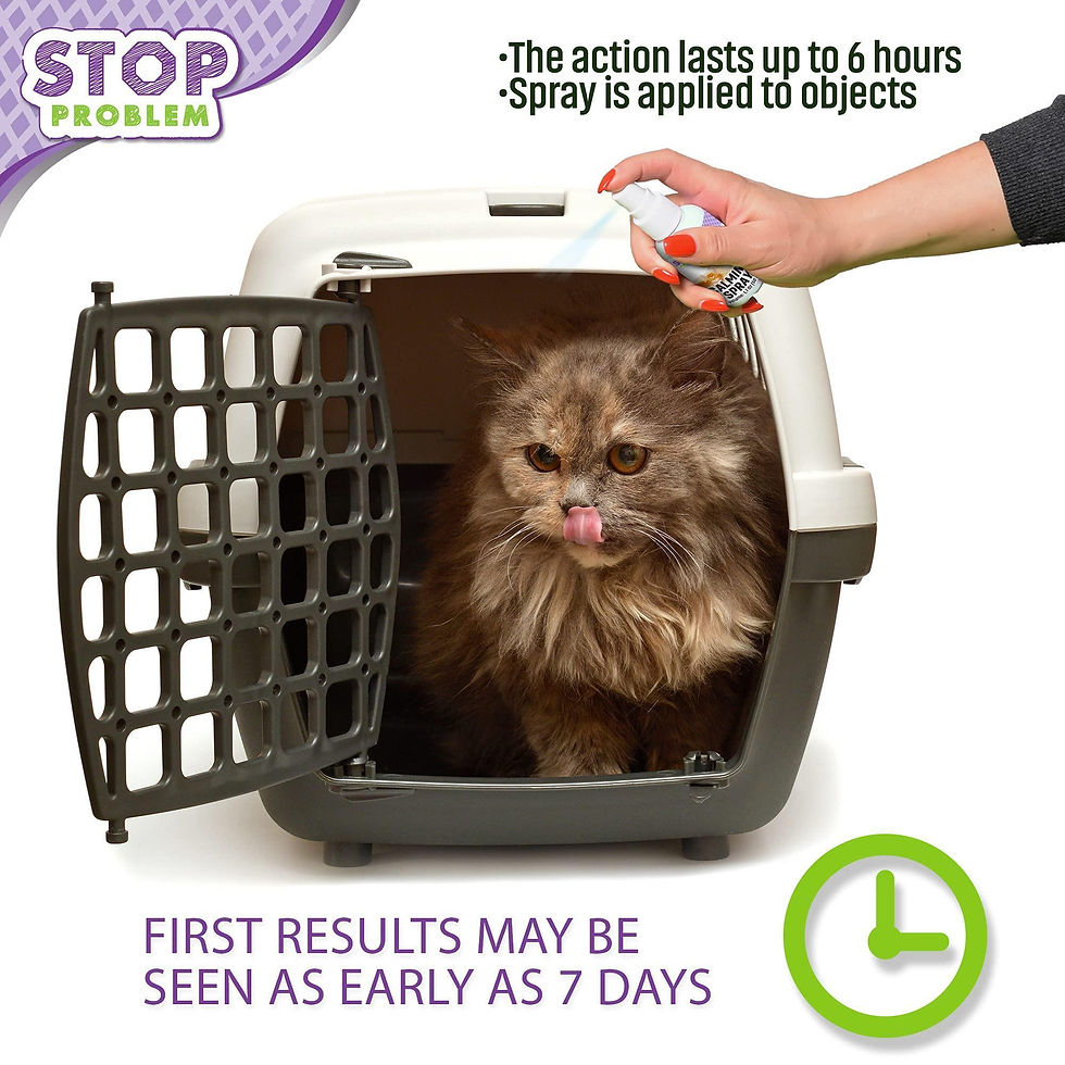Thumbnail: Calming Pheromone Spray Scratch Repellent for Cats Relief Stress Fighting Hiding