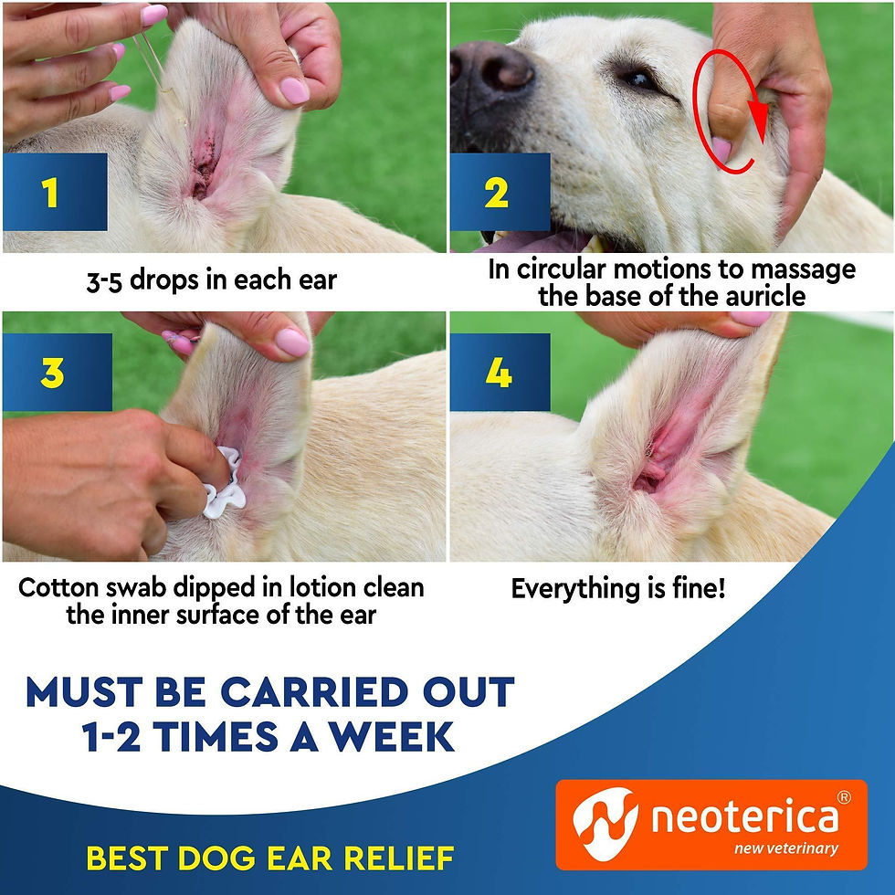 Thumbnail: Cat Dog Ear Cleaner Drops Wash Solution Yeast Otic Infection Itchy Ear Treatment
