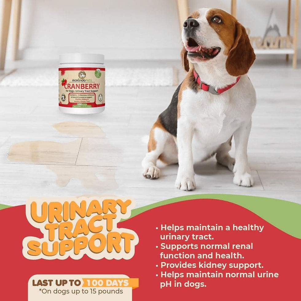 Thumbnail: Dog Cranberry Supplement   Natural Dog UTI Treatment & Kidney Support for Dogs.