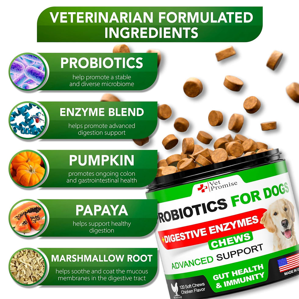 Thumbnail: Probiotics for Dogs Digestive Enzymes for Good Health Itchy Skin 120 Chews