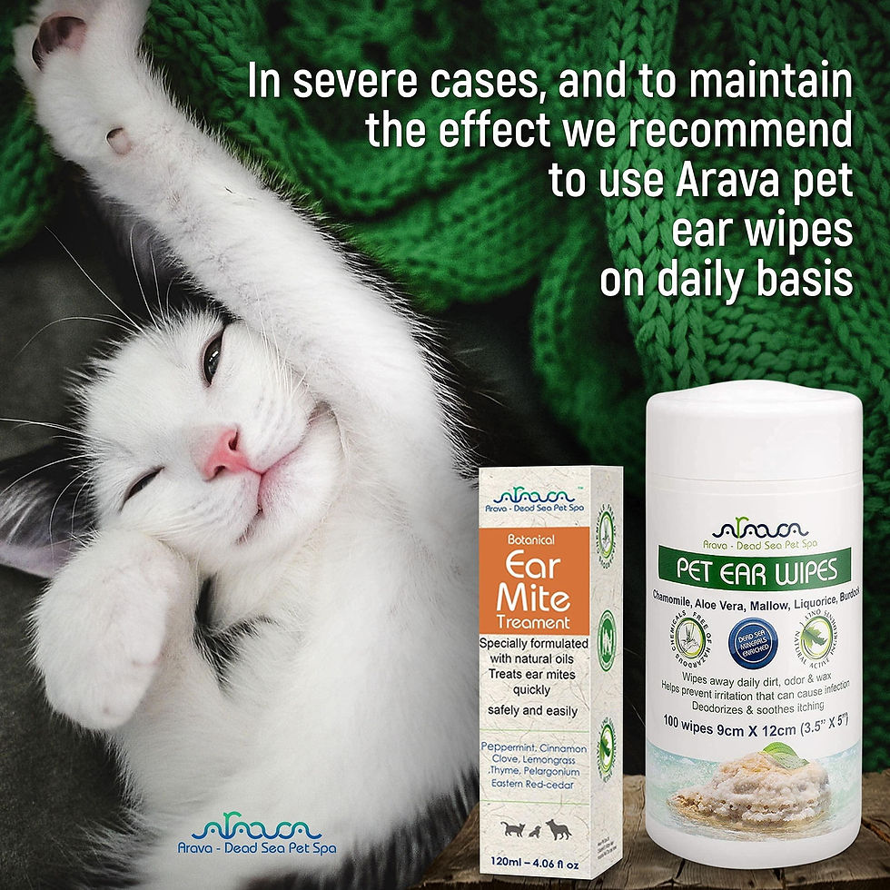 Thumbnail: Natural Ear Mite Treatment for Dogs & Cats Pet Ear Mites Infection Cleaner