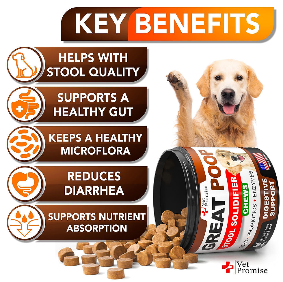 Thumbnail: Great Poop Probiotics for Dogs Dog Stool Softener High Fiber for Dogs 120 Chews
