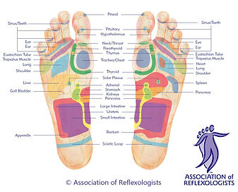 footmap-AOR.jpeg