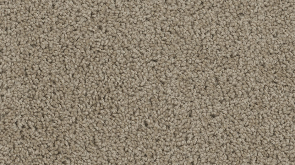 tracker sandstone 25oz neutral carpet in stock vacaville ca harrys carpets