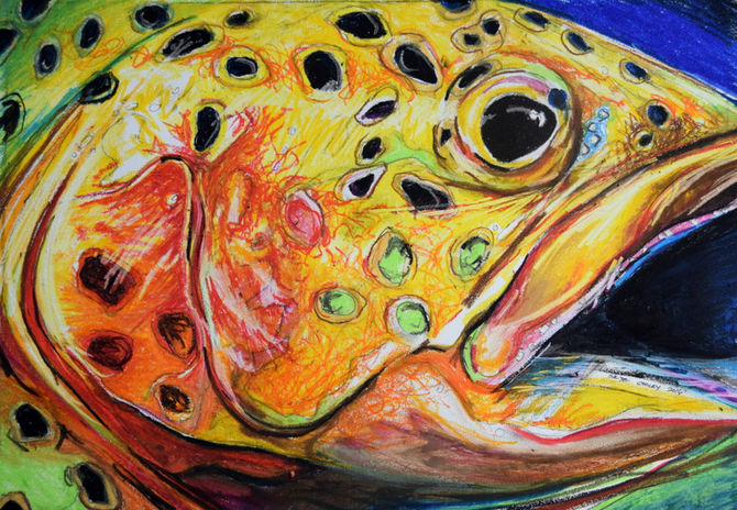 Here Fishy