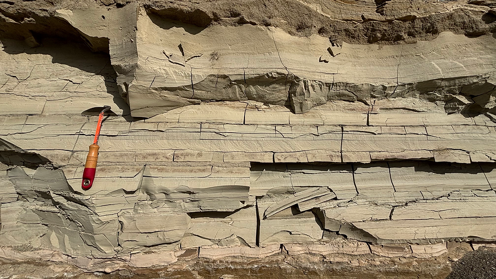 Today's goal. Learn more about the lakebeds of Glacial Lake Columbia and what's deformed them. Here they're flatlying and undisturbed, but that won't last long.