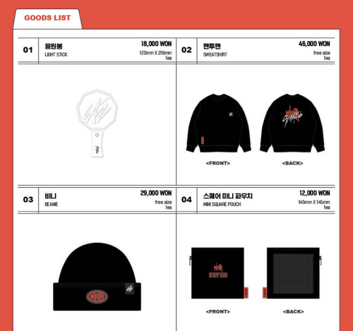 Stray Kids HI-STAY TOUR FINALE 公式グッズ購入代行