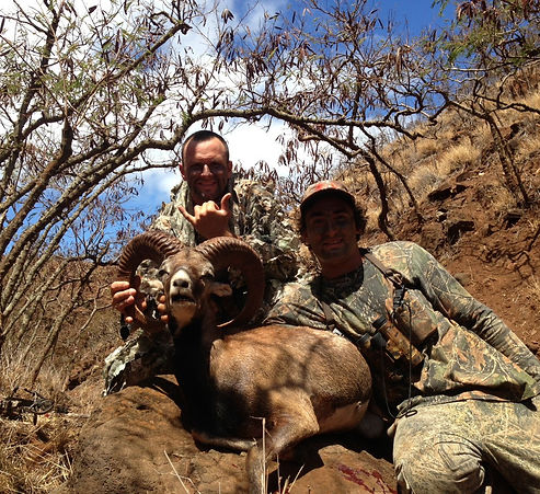 Mouflon Outfitters Lanai
