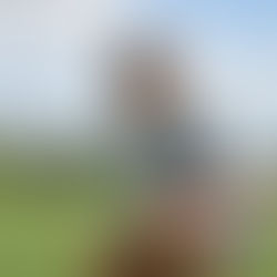 Why Every Junior Golfer Needs a Personalized Development Plan