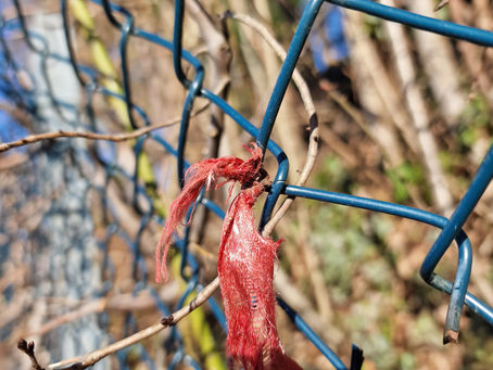 Strukturelle Unsichtbarkeit bei psychischer Gewalt