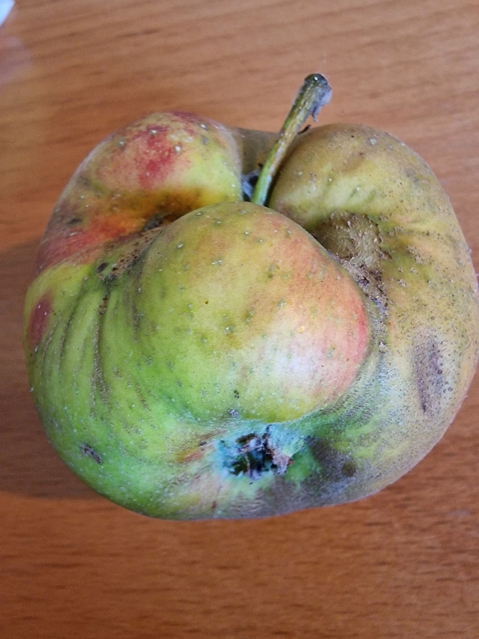 Narzisstische Beziehungen: Warum du nicht „schwach“ bist, sondern ein Entwicklungstrauma mitschleppst