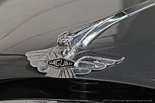 Jaguar Mk VII 3.4 - 1952