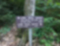IMG_3939.jpeg
