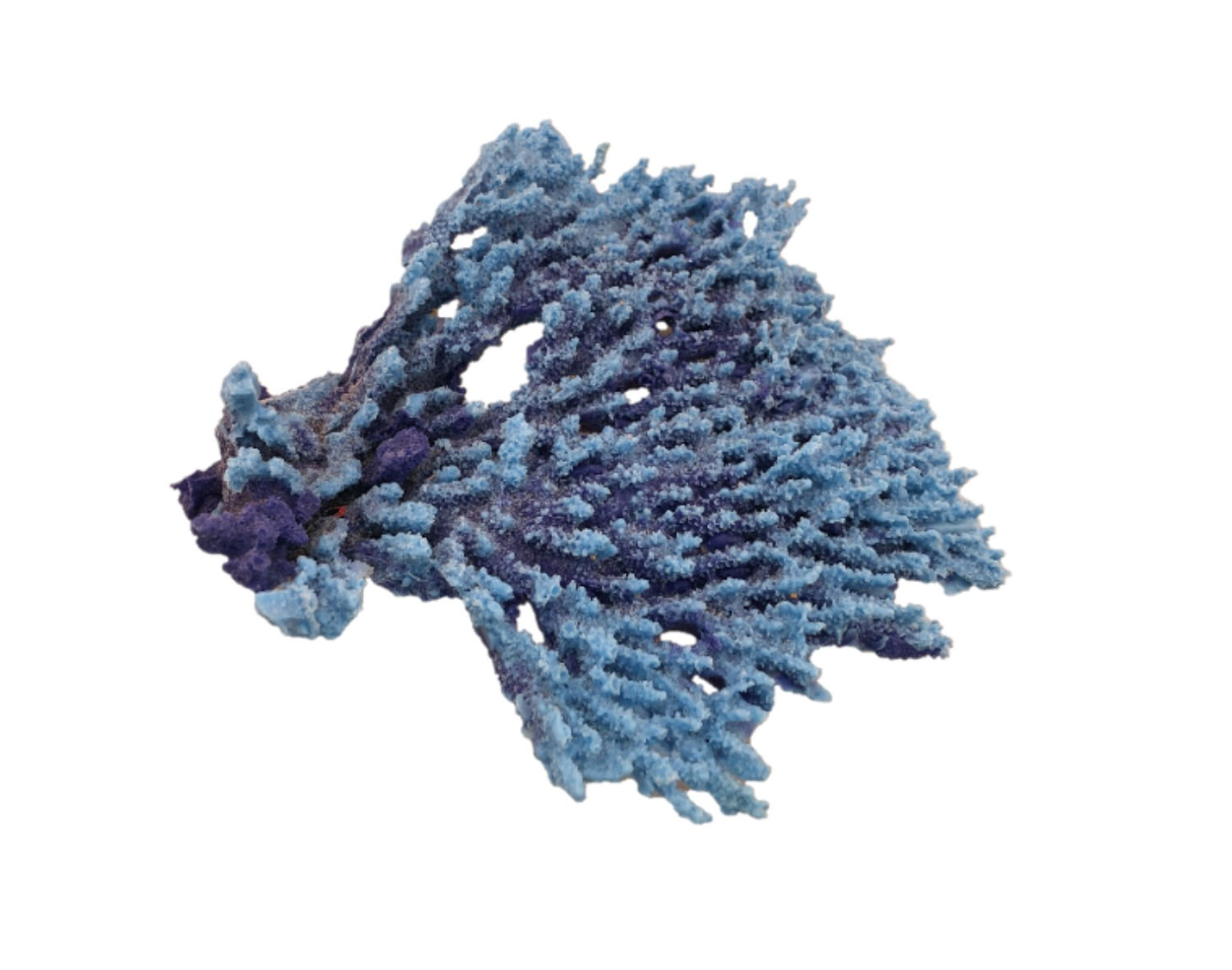 Table Top Acro Medium