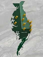 Pin Map of service area