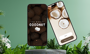 Wooly Coconut Mockup.png
