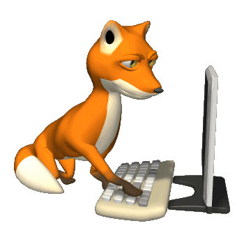 I love foxes