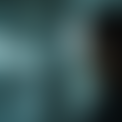 Florida is the Wild West for Locksmith Scammers