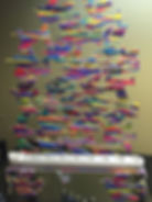 IMG-20170718-WA0037.jpg