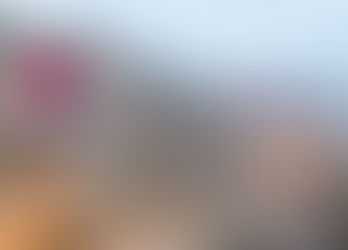 Want to Make the Holidays Happy for Our Oceans? Here are Some Sustainable Gift Ideas