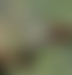 Desalination Solutions: Turning Ocean Water Into Freshwater for a Sustainable Future