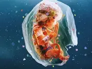 Join Us to Watch Plastic People