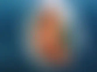 Join Us to Watch Plastic People