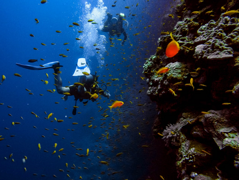 How to SCUBA Sustainably