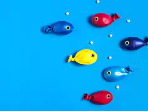 Plastic on Your Plate: Microplastics in Seafood