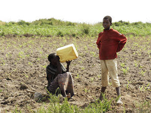 The Overlooked Link Between Sustainability and Global Poverty