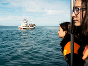 Blue Economy Careers: Sustainable Jobs to Protect and Restore Our Oceans