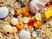 Say No to Nurdles: Why the Plastic Pellet Free Waters Act Needs Our Support