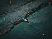 Oil Spills Under Control? The Science and Promise of Advanced Cleanup Technologies
