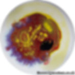 Pick 'n' Mix Brain Scan No.2