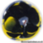 Black Orchid No.7