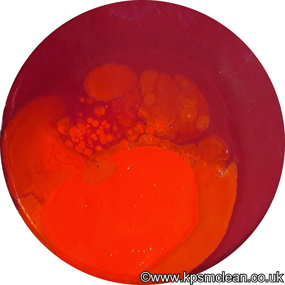 Poppy No.33 (Ruby Fountain (AC) No