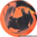 Seal Club Shores No.3